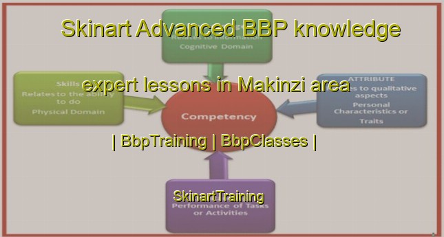 Skinart Advanced BBP knowledge expert lessons in Makinzi area | BbpTraining | BbpClasses | SkinartTraining-the Democratic Republic of the Congo